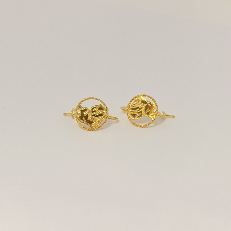 Boucles d’oreilles crochets carte de la Guyane enfant