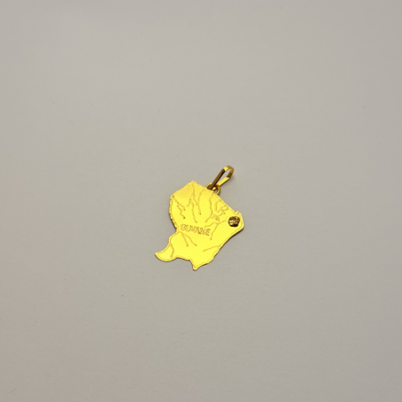 pendentif carte de la Guyane en Or 750 / Bijouterie Rigolet