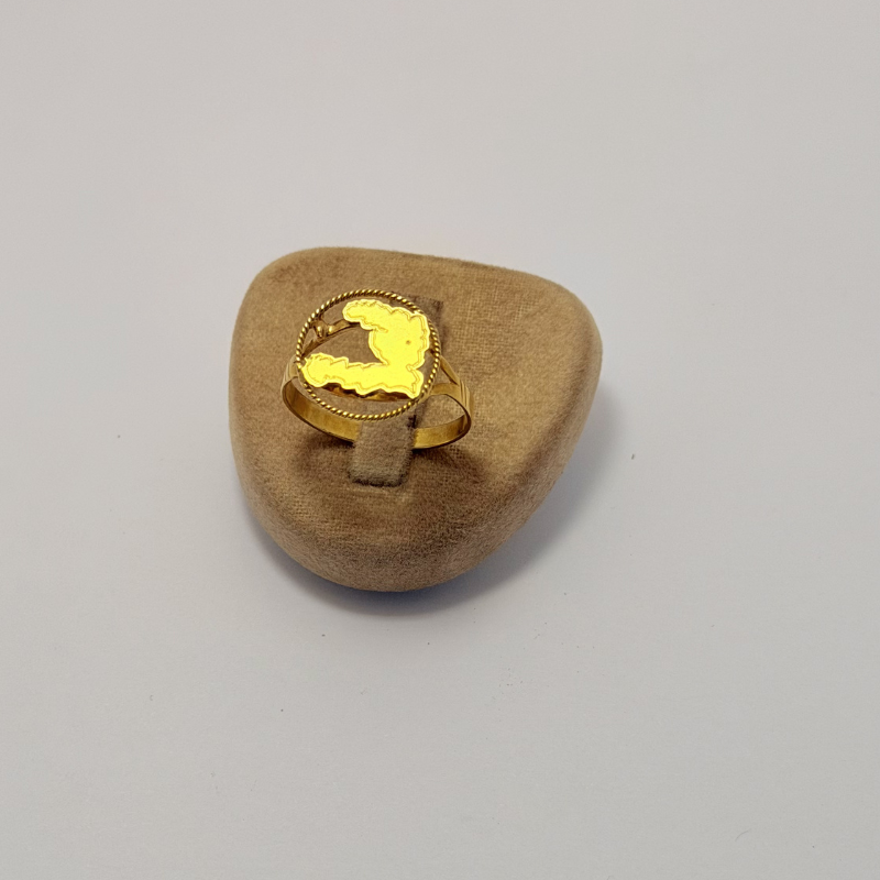Bague Carte d'Haïti en Or 750 | Bijouterie Rigolet