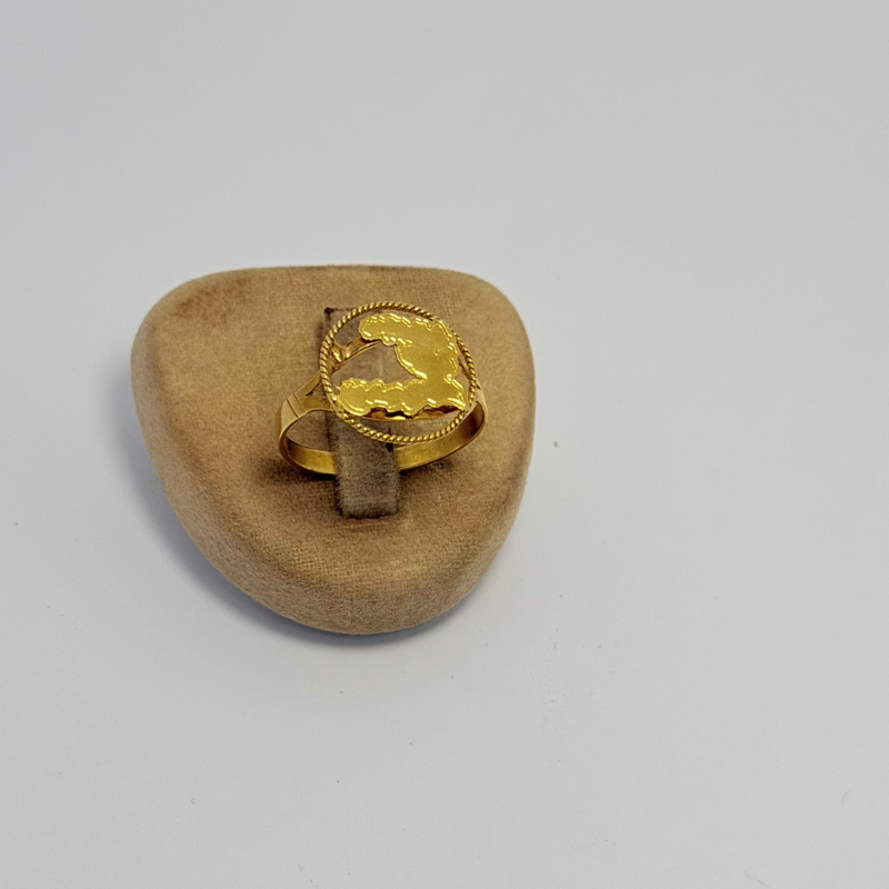 Bague Carte d'Haïti en Or 750 | Bijouterie Rigolet