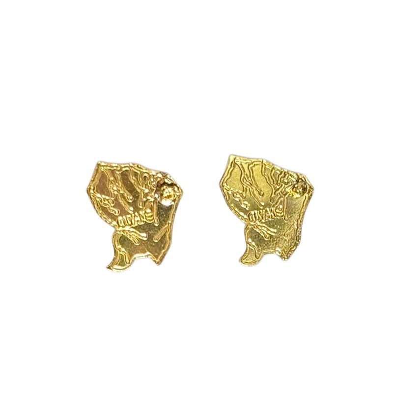 Boucle d'oreille Carte de la Guyane sans cerclé