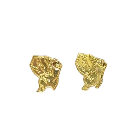 Boucle d'oreille Carte de la Guyane sans cerclé