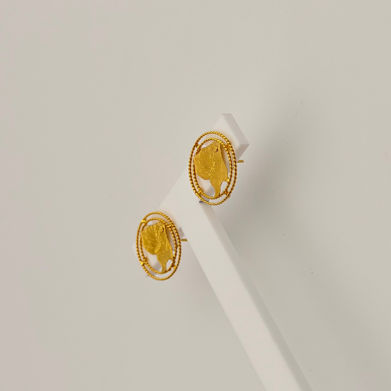 Boucles d'oreille carte de la Guyane double cerclage