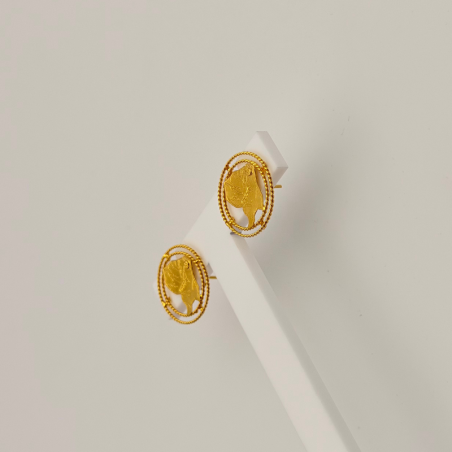 Boucles d'oreille carte de la Guyane double cerclage