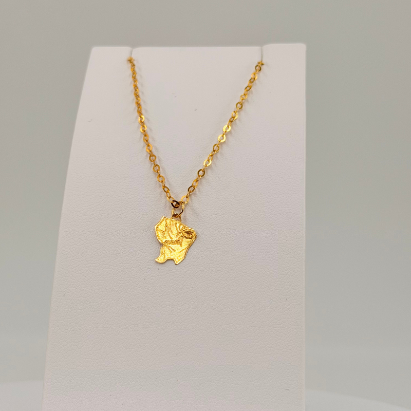 Chevillière Carte Guyane en or 18 carats – Bijouterie Rigolet