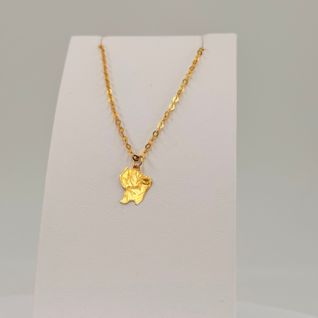 Chevillière Carte Guyane en or 18 carats – Bijouterie Rigolet