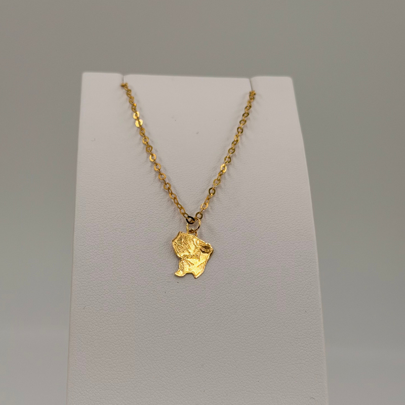 Chevillière Carte Guyane en or 18 carats – Bijouterie Rigolet