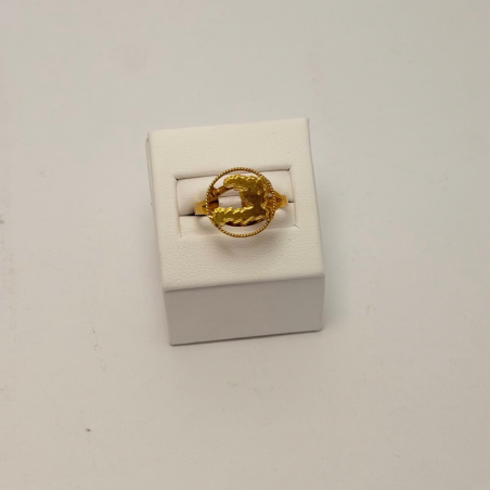 Bague Carte d'Haïti en Or 750 | Bijouterie Rigolet