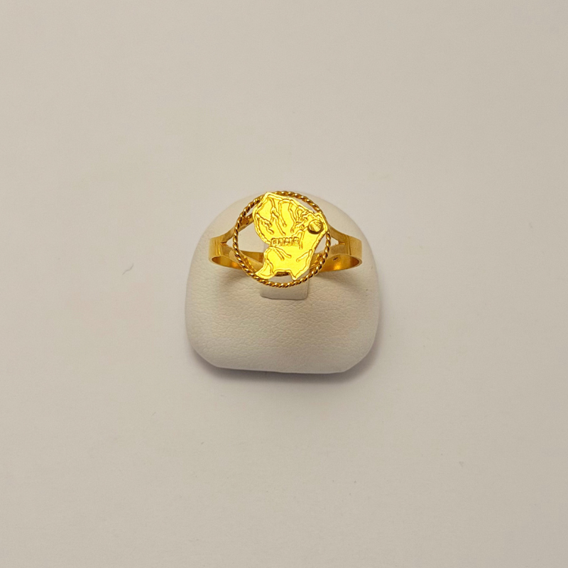 Bague Carte de la Guyane en argent 925 – Bijouterie Rigolet