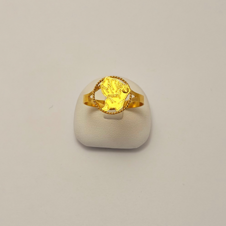 Bague Carte de la Guyane en argent 925 – Bijouterie Rigolet