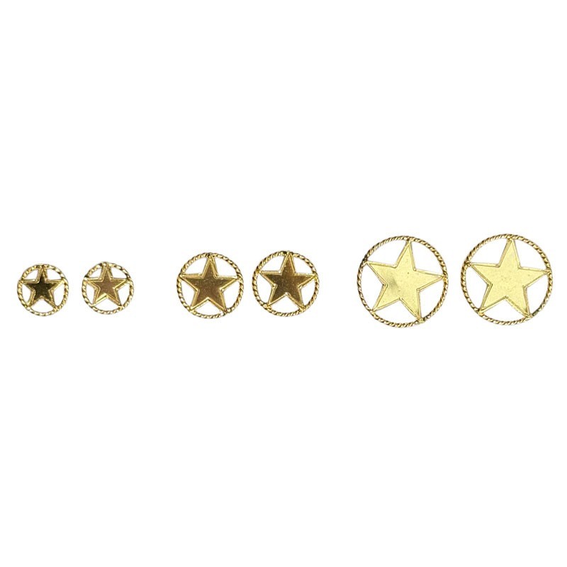 Boucle d'oreille étoile